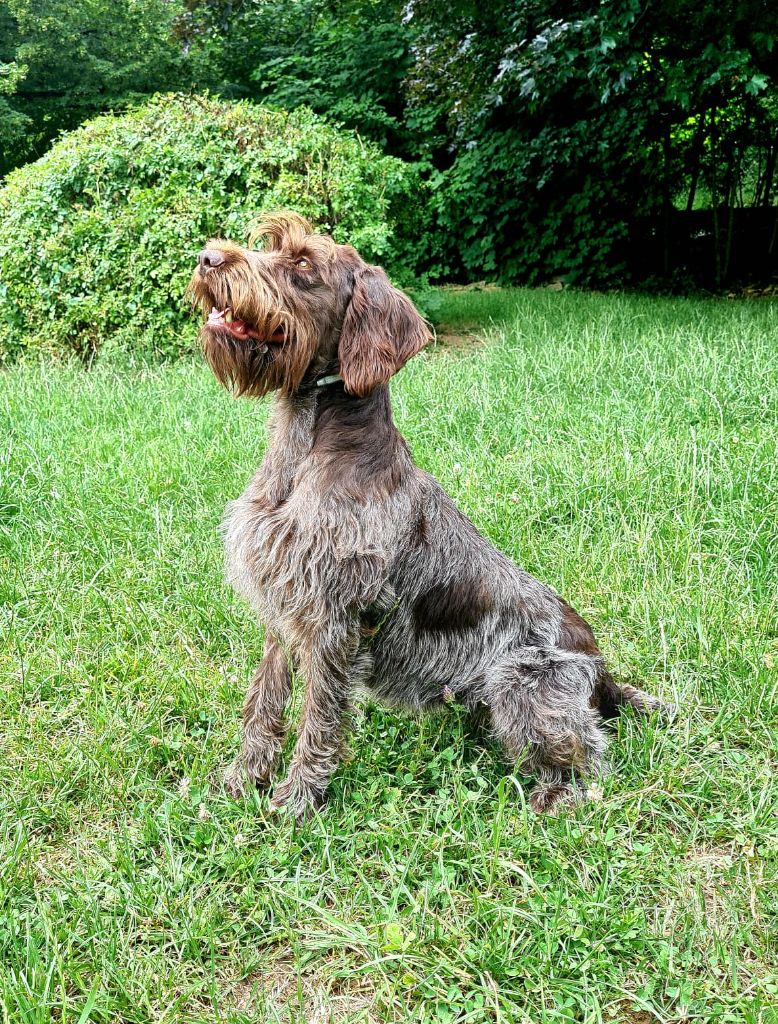 Sally Du Comté De Trépugnat