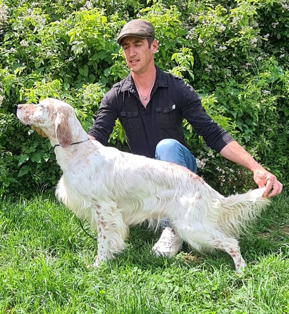 Sher khan Du Comté De Trépugnat